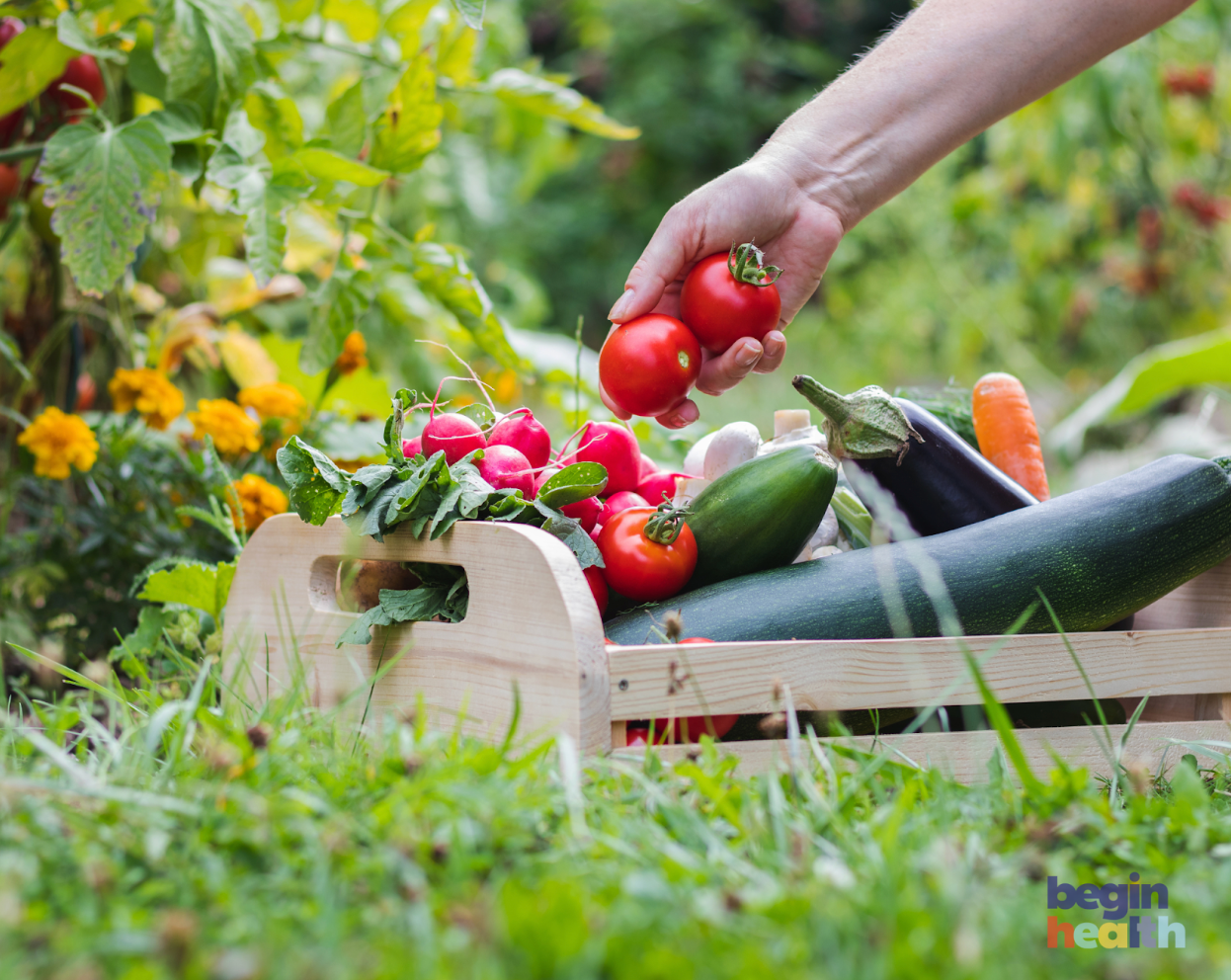 Kids' Gut Health Is Connected to Organic Food Quality and Soil Health