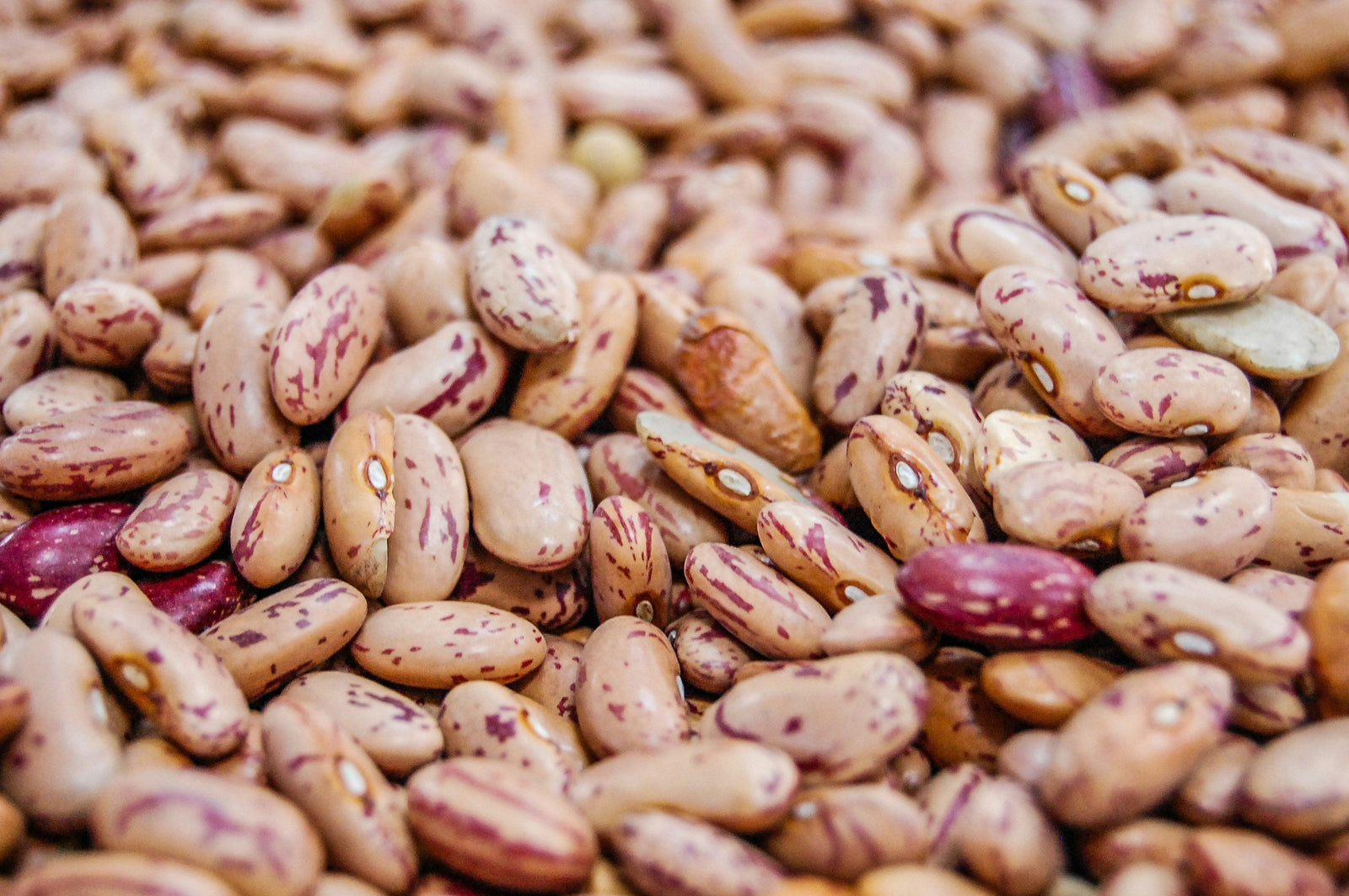 How to Introduce Beans Without Causing Gas in Babies