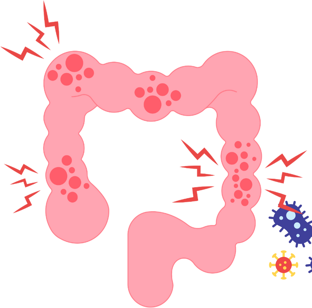 Disruptions To The Gut Can Often Lead To...