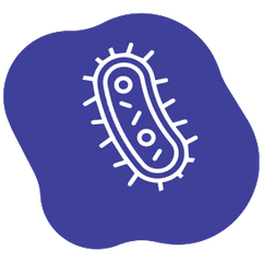 Microbiome Health