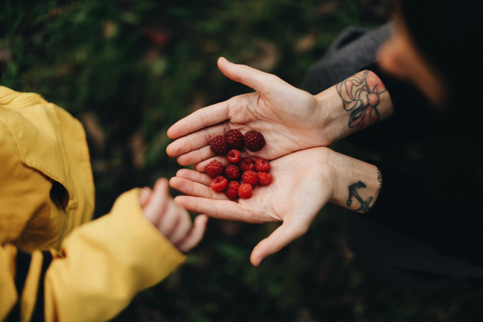 Nutrition Support Tips for SIBO in Kids