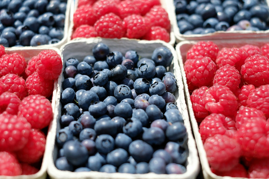 Benefits of Fructo-Ogliosaccharides for Kids’ Gut Health