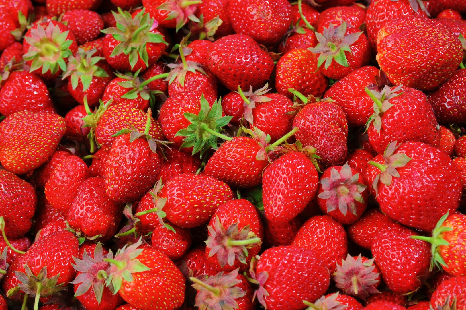 5 Foods for a Healthier Heart and Microbiome in Kids