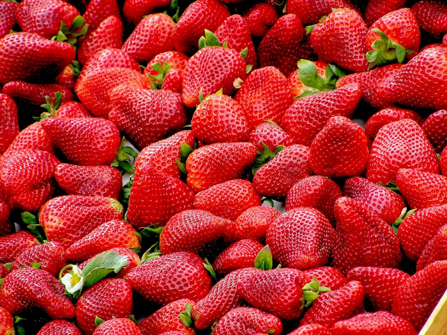 Can Strawberries Help with Constipation in Kids?