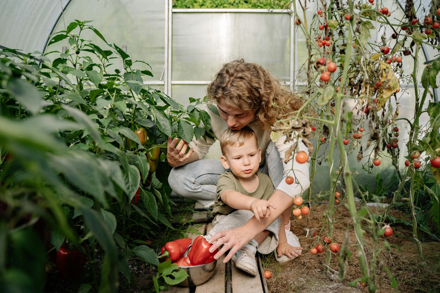 6 Signs Picky Eating is a Bigger Problem