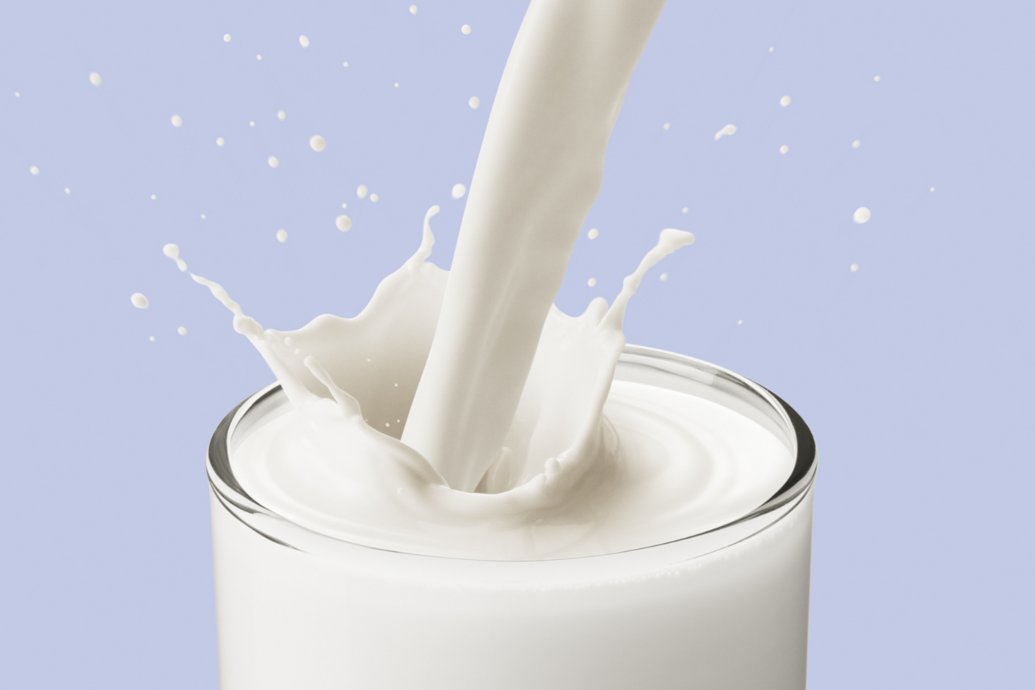 Can my Kid use Begin Growing up Prebiotics if She is allergic to Milk Protein?