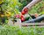 Kids' Gut Health Is Connected to Organic Food Quality and Soil Health