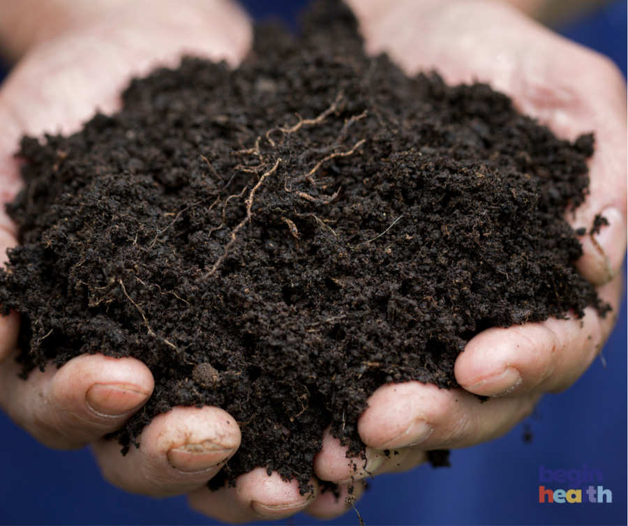 Teach Kids About Composting —A Natural Lesson in Digestion