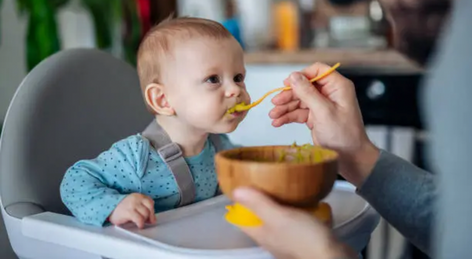 3 Easy Gut-Friendly Baby Puree Recipes