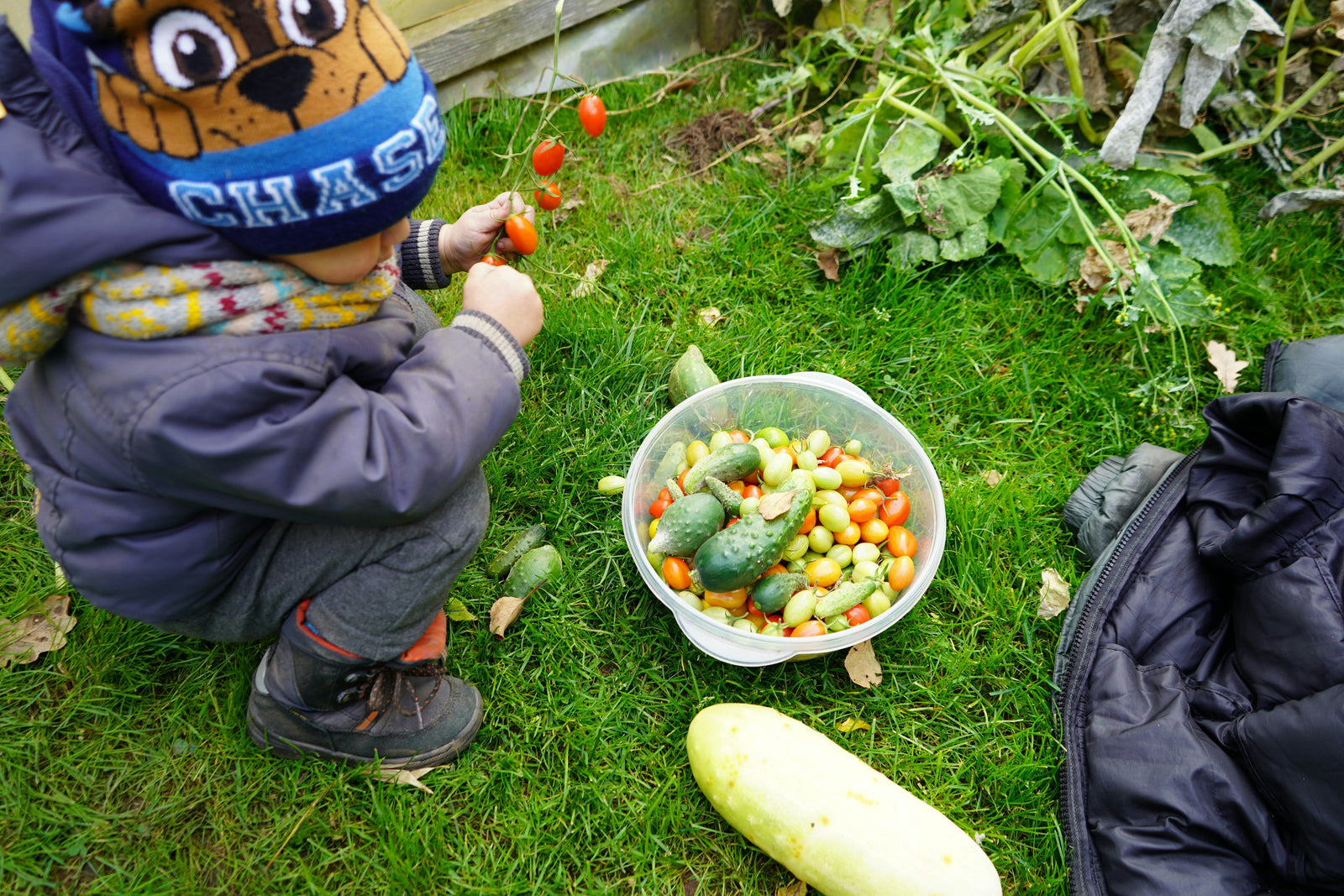 Why Kids Get Constipated, Even If They Eat Veggies