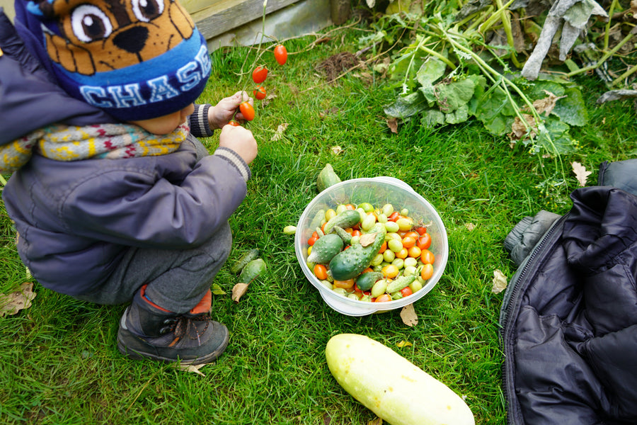 Why Your Toddler Might Be Constipated Even If They Eat Veggies