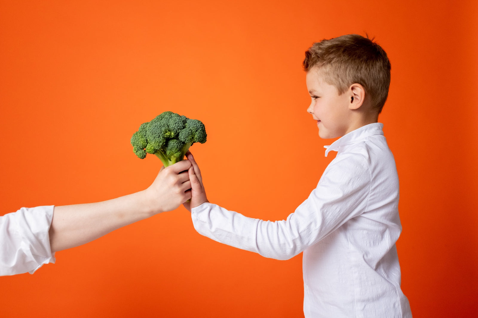 Kid’s Gut Microbiome Support: Tips from a Pediatric Naturopathic Doctor with Dr. Jordi Smith