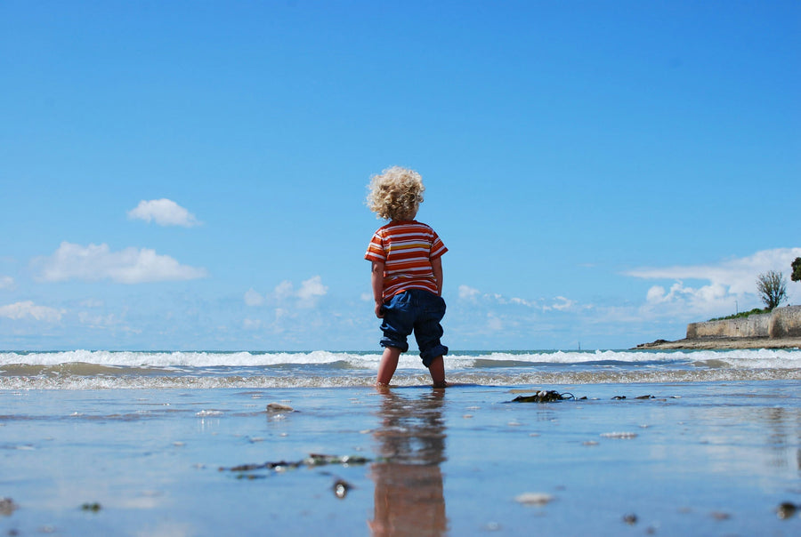3 Tips to Get Your Toddler to Poop on the Potty