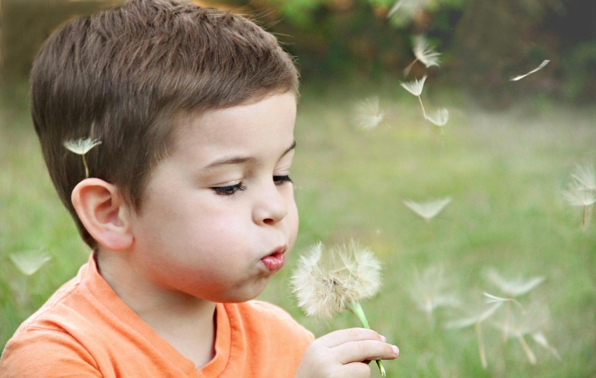 Does the Microbiome Affect Your Kid's Risk for Obesity?