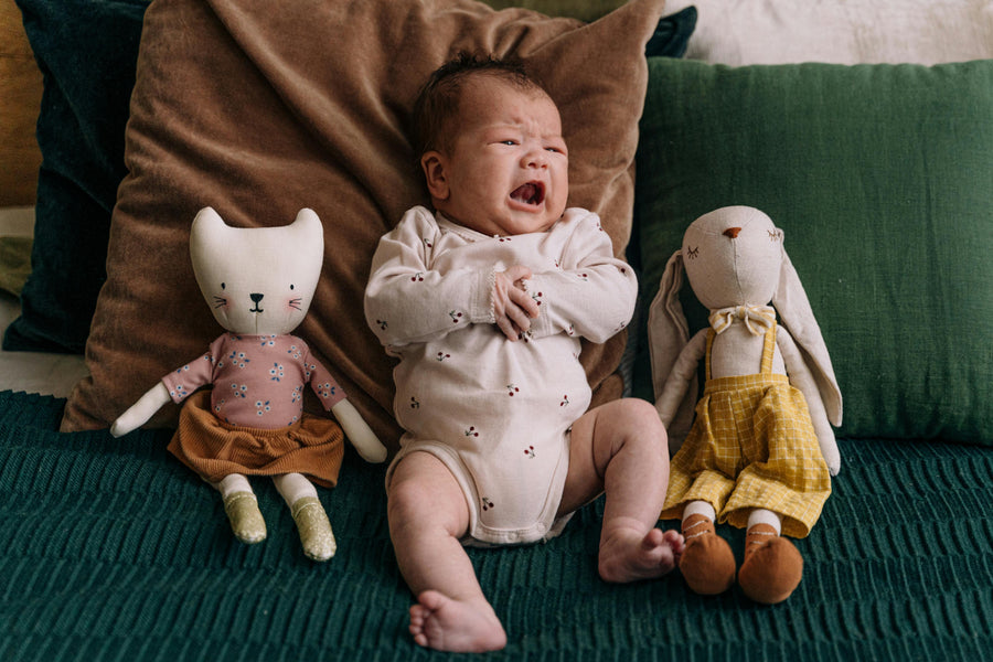 Infant crying due to colic symptoms, prebiotics, gut health, baby digestion