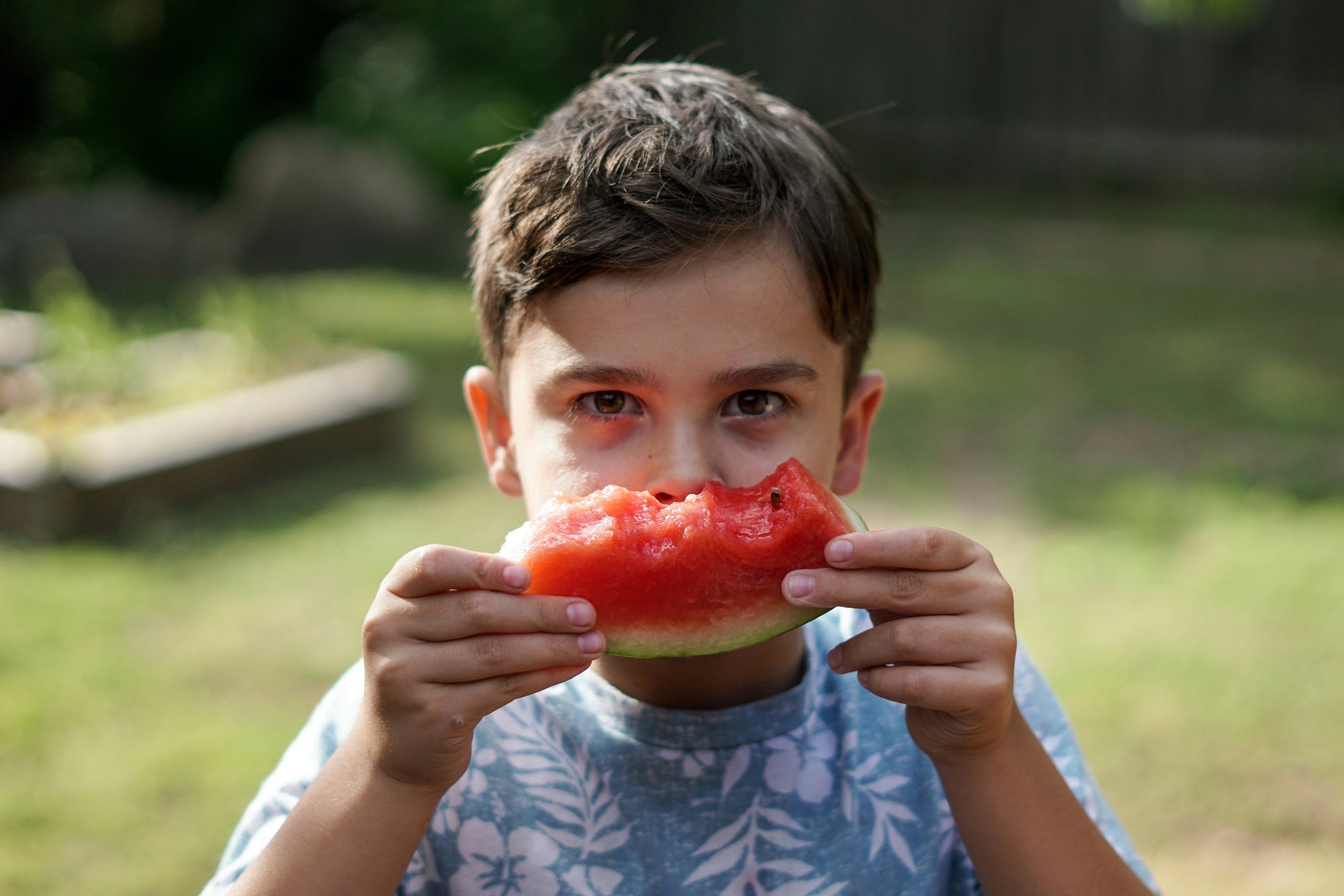 The Best Seasonal Fruits for Digestion (And How to Serve Them to Kids)