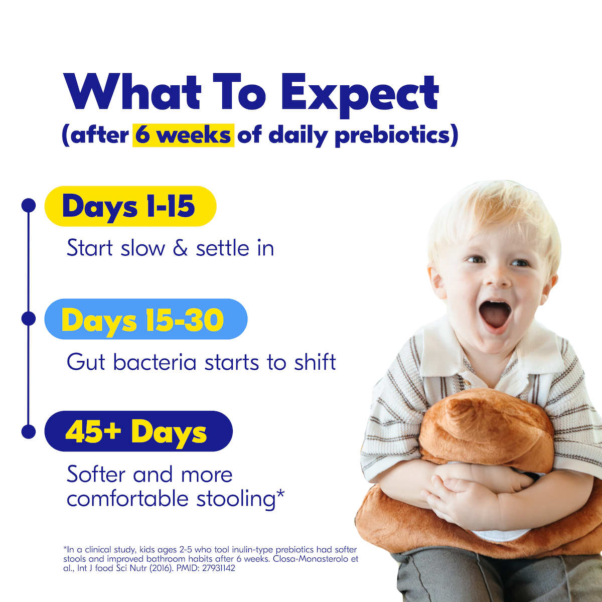 Prebiotics Best Seller Bundle